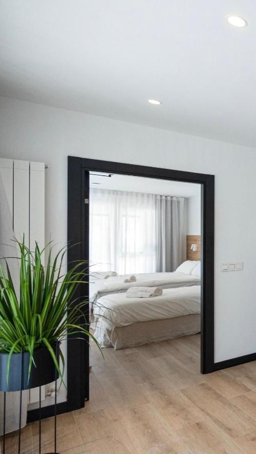 Donostia Rooms San Sebastián Eksteriør billede